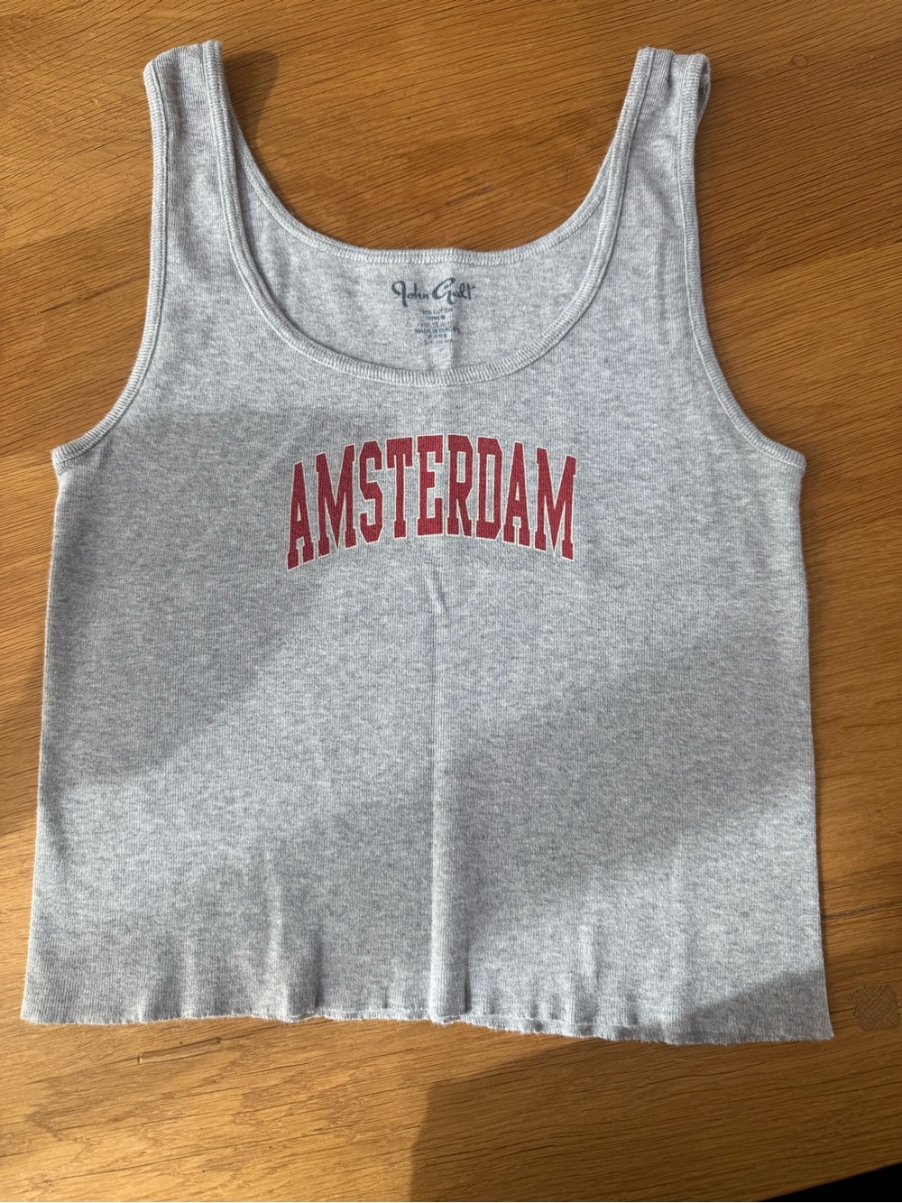 Brandy Melville Gray Tank Top with Red Amsterdam Print